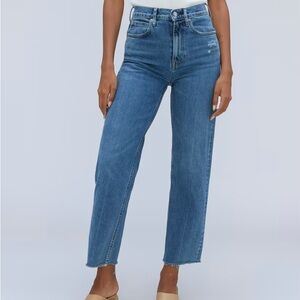 Everlane The Way-High Jean in Distressed Sz27